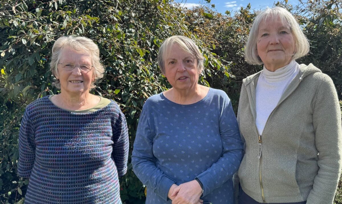 Airedale Candidates